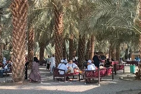 Berkunjung Ke Kebun Kurma Madinah Belanja Sambil Menikmati Sejuknya