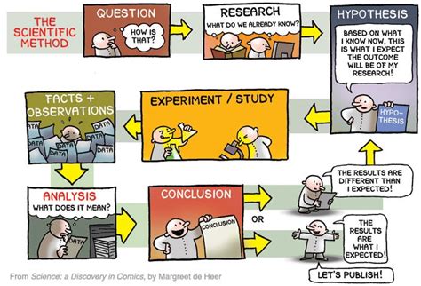 Scientific Method And Variables Diagram Quizlet