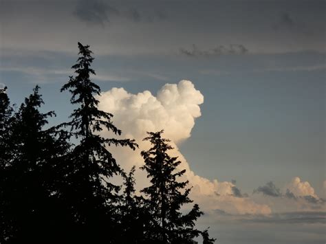 Drôle de nuage P1140087 L humoureuse Flickr