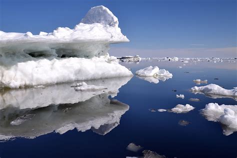 Листья Айсберга Фото – Telegraph