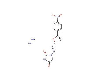 Dantrolene Sodium Salt Hemiheptahydrate CAS 24868 20 0 SCBT