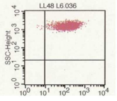 CD40 Ligand TNFSF5 Products Bio Techne