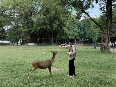 Taman Balekambang Surakarta Jalan Balekambang Manahan Kota Surakarta