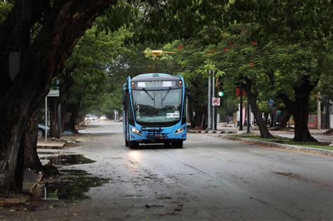 Conoce las tres nuevas rutas que se unirán al Va y Ven en Mérida este