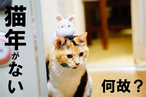 猫年がないのはネズミのせい？その理由とは？【2023】 猫 干支 ネズミ