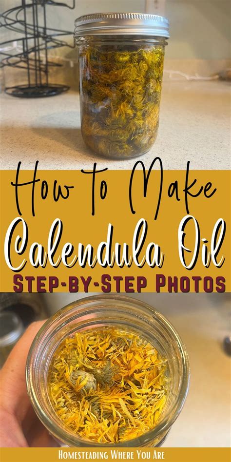 How To Make Calendula Oil Step By Step Photos