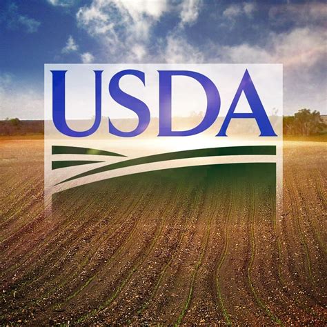 Usda Agriculture Grants 2024 Nelle Sophia