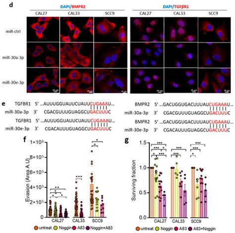 Ijms Free Full Text Tumor Suppressive And Immunomodulating Activity