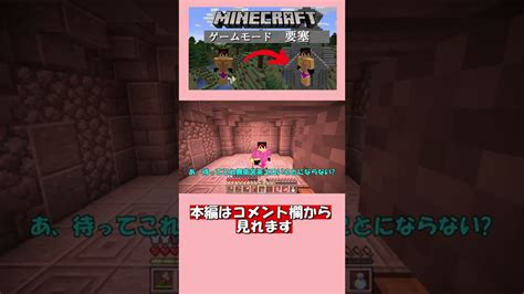 Shorts 変態スキンでエロい装備を着た結果『マイクラ』【ゲーム実況】 マイクラ（minecraft）動画まとめ