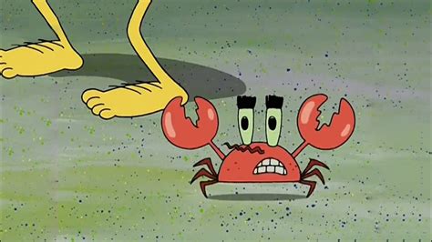 Mr Krabs Money Money Money Gif