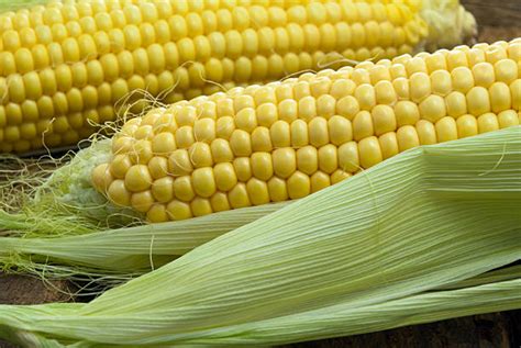 Best Green Giant Corn Stock Photos, Pictures & Royalty-Free Images - iStock