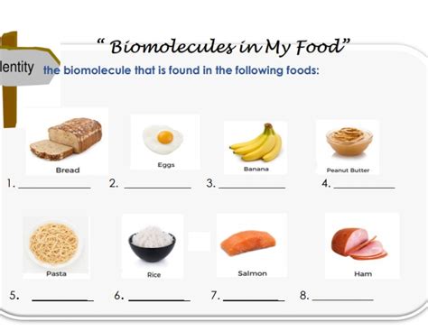 Biomolecules in My Food lentity the | StudyX