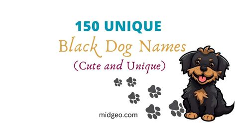 150 Unique Black Dog Names For Your Pup's Distinctive Personality