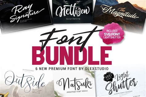 premium font bundles script fonts creative market