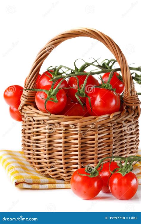 Basket Of Tomatoes Stock Photo Image Of Agriculture 19297718