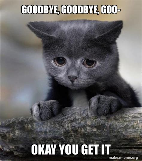 Farewell Cat Meme