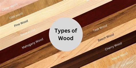 18 Most Popular Types Of Wood And Their Uses Civil Lead 46 Off