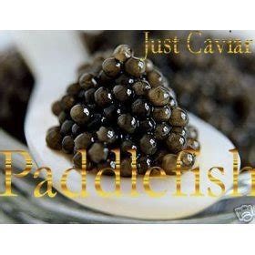 Sale American Paddlefish Caviar - 2.00 oz. / 56 gr.