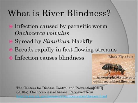 Onchocerciasis Disease River Blindness Ppt Download