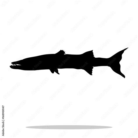 Barracuda fish black silhouette aquatic animal Stock Vector | Adobe Stock