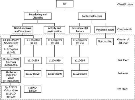 The Hierarchical Structure Of The Icf Download Scientific Diagram