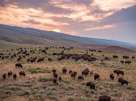 2,107 acres in Fremont County, Wyoming
