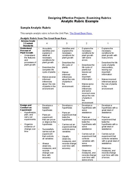 Analytic Rubric Pdf Experiment Hypothesis