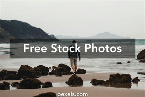 1000+ Engaging Come Back Photos Pexels · Free Stock Photos