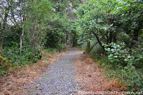 Hiking the Grounds of Beautiful Ballynahinch Castle in Galway, Ireland