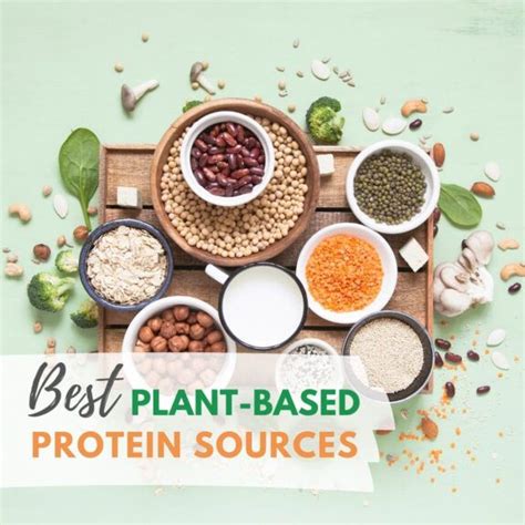 Best Plant Based Protein Sources Artofit