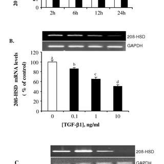 Tgf Downregulates Mpr Mrna Expression A Time Course Study Of