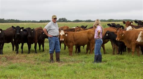 Genetics Can Improve Livestock Grazing In South Texas Morning Ag Clips