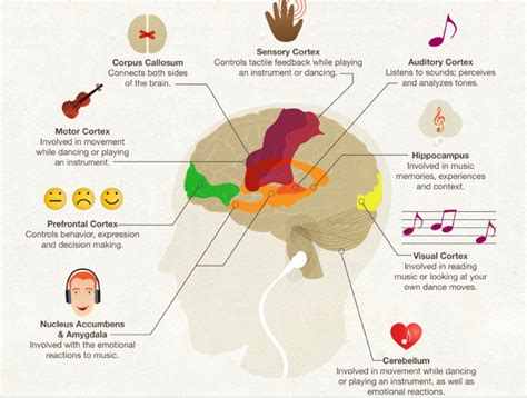 La M Sica En El Cerebro Music Therapy Speech Therapy Teaching Music