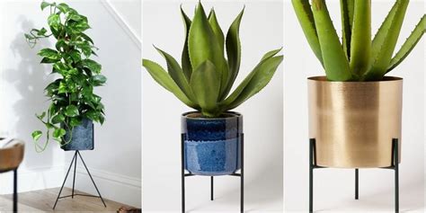 The Best Indoor Planter With Stand Options For You Planter Galleria