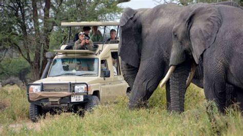 Maswa Game Reserve Safaris And Expeditions