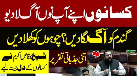 Pti S Sheikh Waqas Akram Fiery Speech In National Assembly Wheat