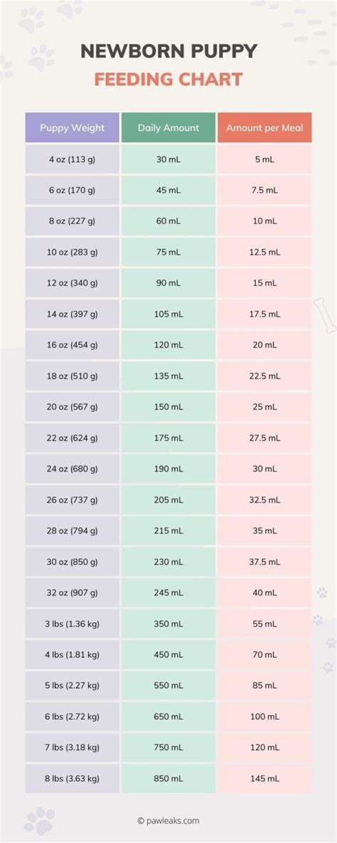 Simple Newborn Puppy Feeding Chart: Bottle Feeding Chart For Pups | PawLeaks