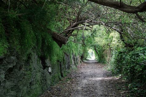 Tips For Biking Bermudas Railway Trail National Park