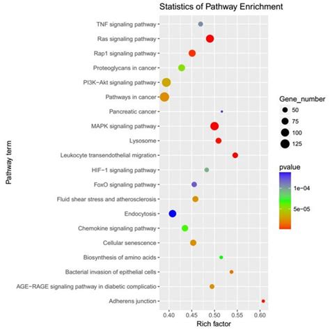 Kegg Analysis Of The Predicted Target Genes Showing The Top