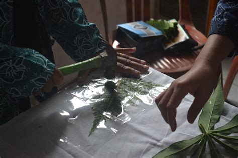 Tim KKN PPM UGM Pembuatan Batik Ecoprint Di Pekon Sedampah Indah