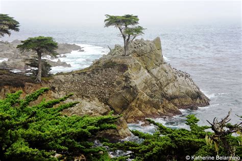 The Scenic 17-Mile Drive of the Monterey Peninsula | Travel the World