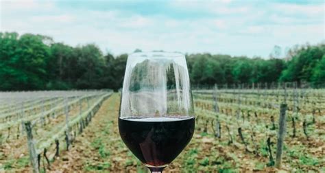 How to Spend the Perfect Day Visiting Geneva, Ohio Wineries (With Local Tips!) - World Wide ...