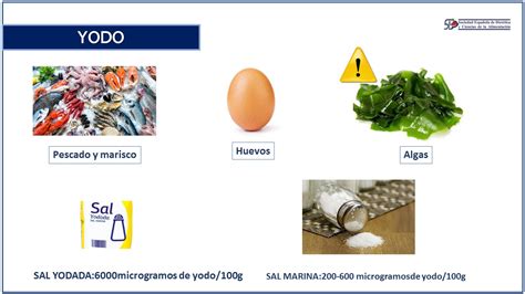 YODO Sociedad Española de Dietética y Ciencias de la Alimentación S