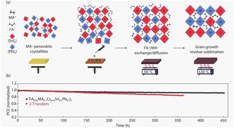 Low Bandgap SnPb Perovskite Solar Cells