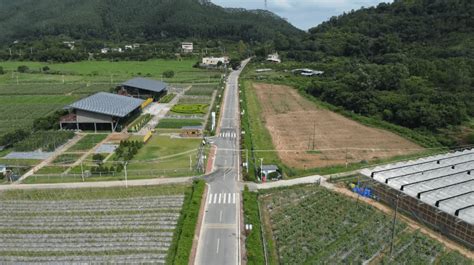 仲恺陈江：一村一策绘美景，乡村振兴添动能 幸福村 产业 农业