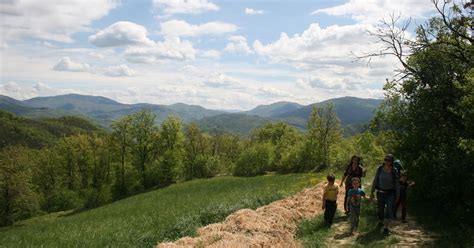 Sulla Terra A Sant Alberto Sulle Tracce Del Drago