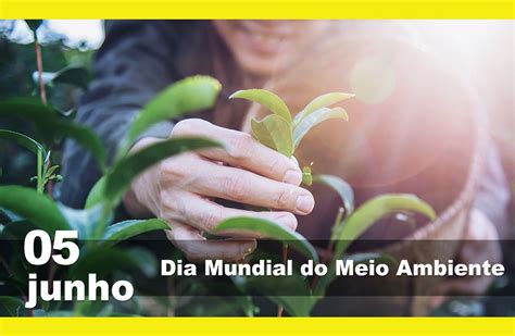 Instituto Auá Saiu na Mídia Dia Mundial do Meio Ambiente ações unem