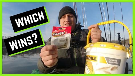 Gulp Minnow Vs Live Minnows For Crappie Which Catches More Fish Youtube