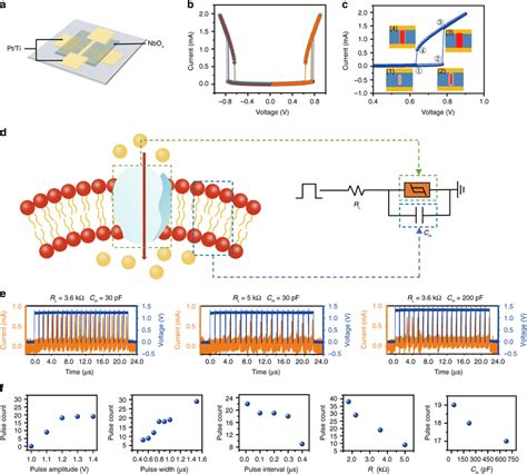 Spiking Neuron Based On Nbox Volatile Memristors A Schematic Diagram Of