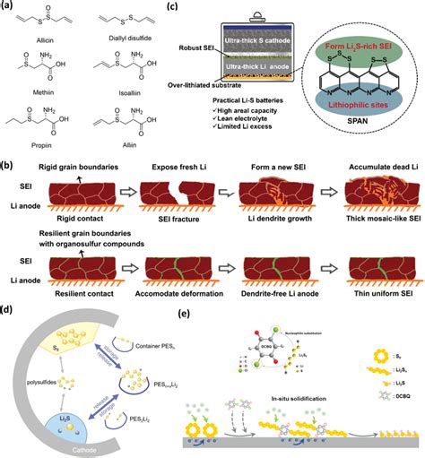 A Organosulfur Components In Garlic B Schematics Of Sei Evolution